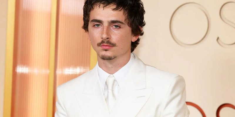 Filmes e séries com o ator Timothée Chalamet