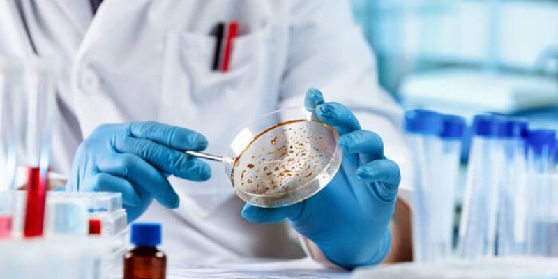 Dia do Infectologista