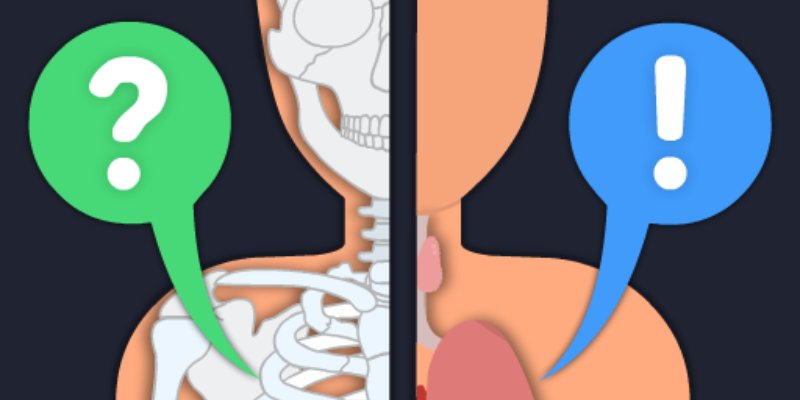 O Quanto Você Conhece o Corpo Humano?