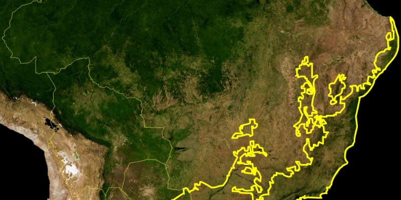 Dia Nacional da Mata Atlântica