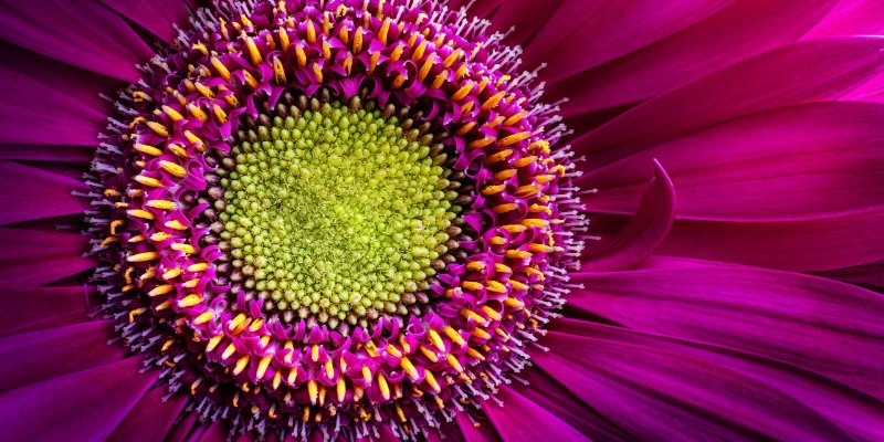 Geometria na natureza