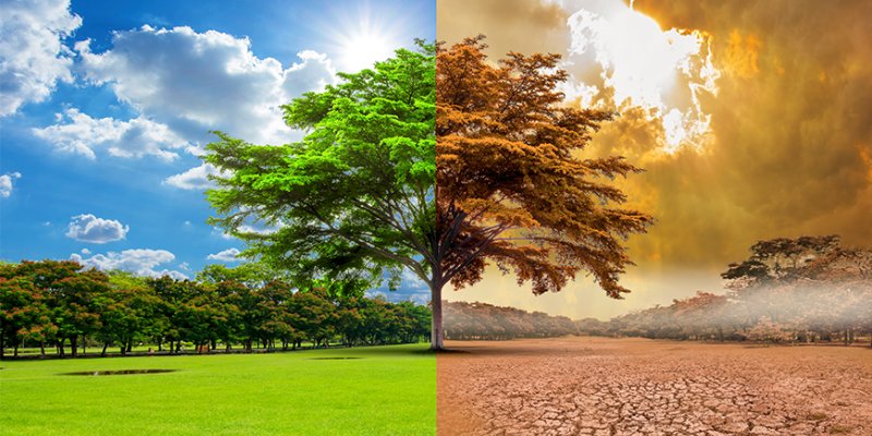 Dia Nacional da Conscientização sobre Mudanças Climáticas