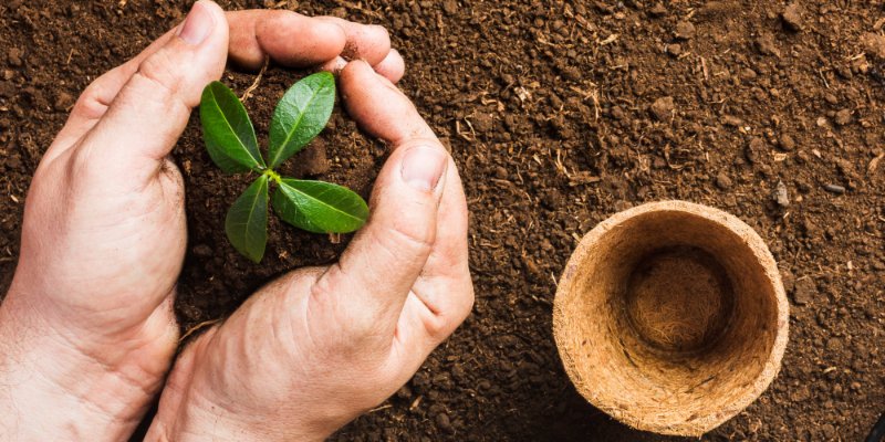 Dia Nacional da Conservação do Solo