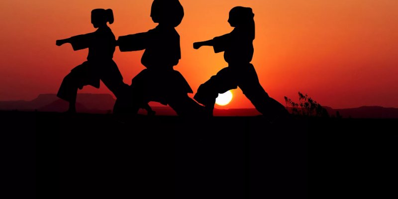Modalidades de artes marciais