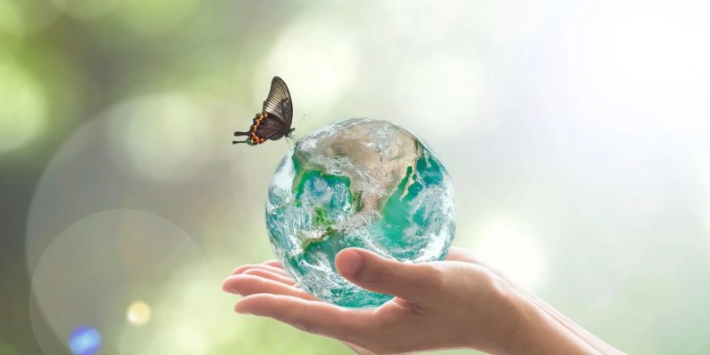 Dia Internacional da Biodiversidade