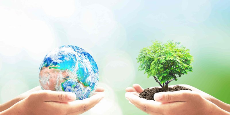 Dia do Conservacionismo