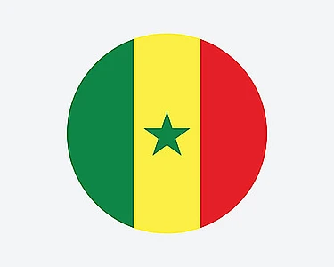 Jogadores de futebol que são senegalês